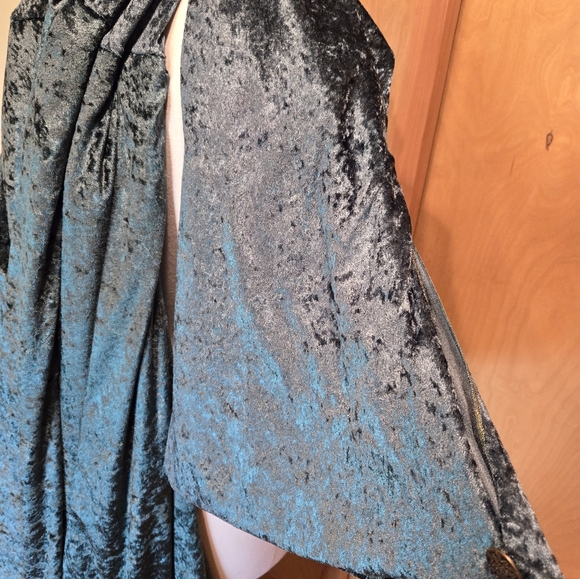 Disney Hocus Pocus Winifred Sanderson Cosplay Costume Dress Adult Womens 2X - Picture 8 of 8